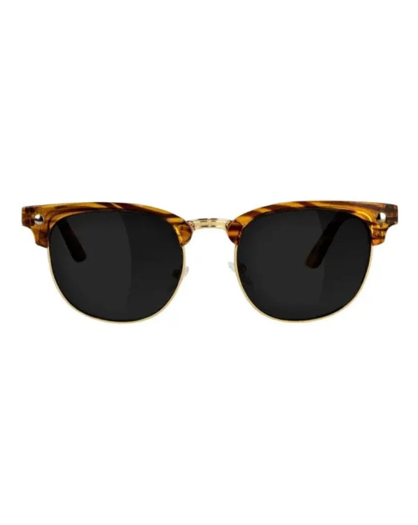 Glassy Morrison Polarized - Honey