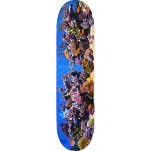 Mini Logo Fish Tank 8.0" Skateboard Deck