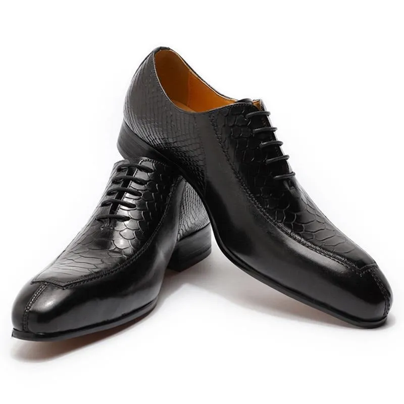 SerpentLux Exquisite Pointed Toe Oxford Shoes